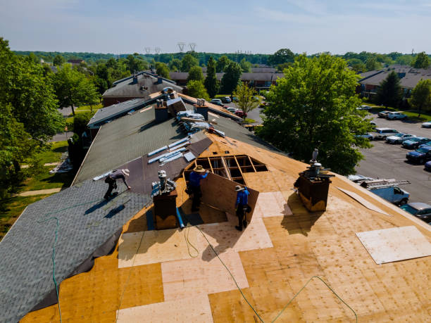 Trusted Storm Damage Roof Repair service in Oakhurst, NJ - Brentwood Metal Roofing